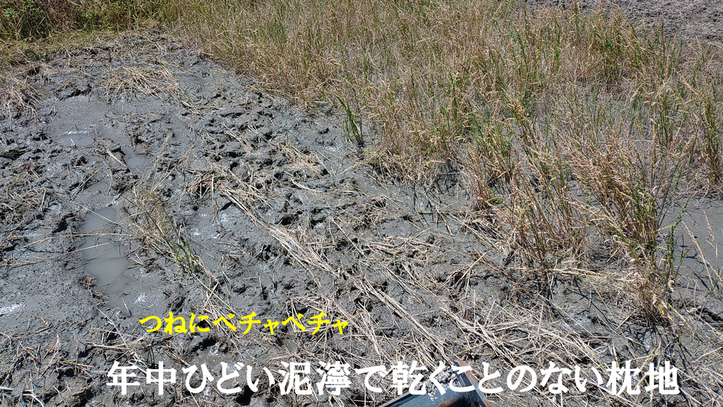 ひどい泥濘の枕地を中心に田んぼの改善 天地返し作業