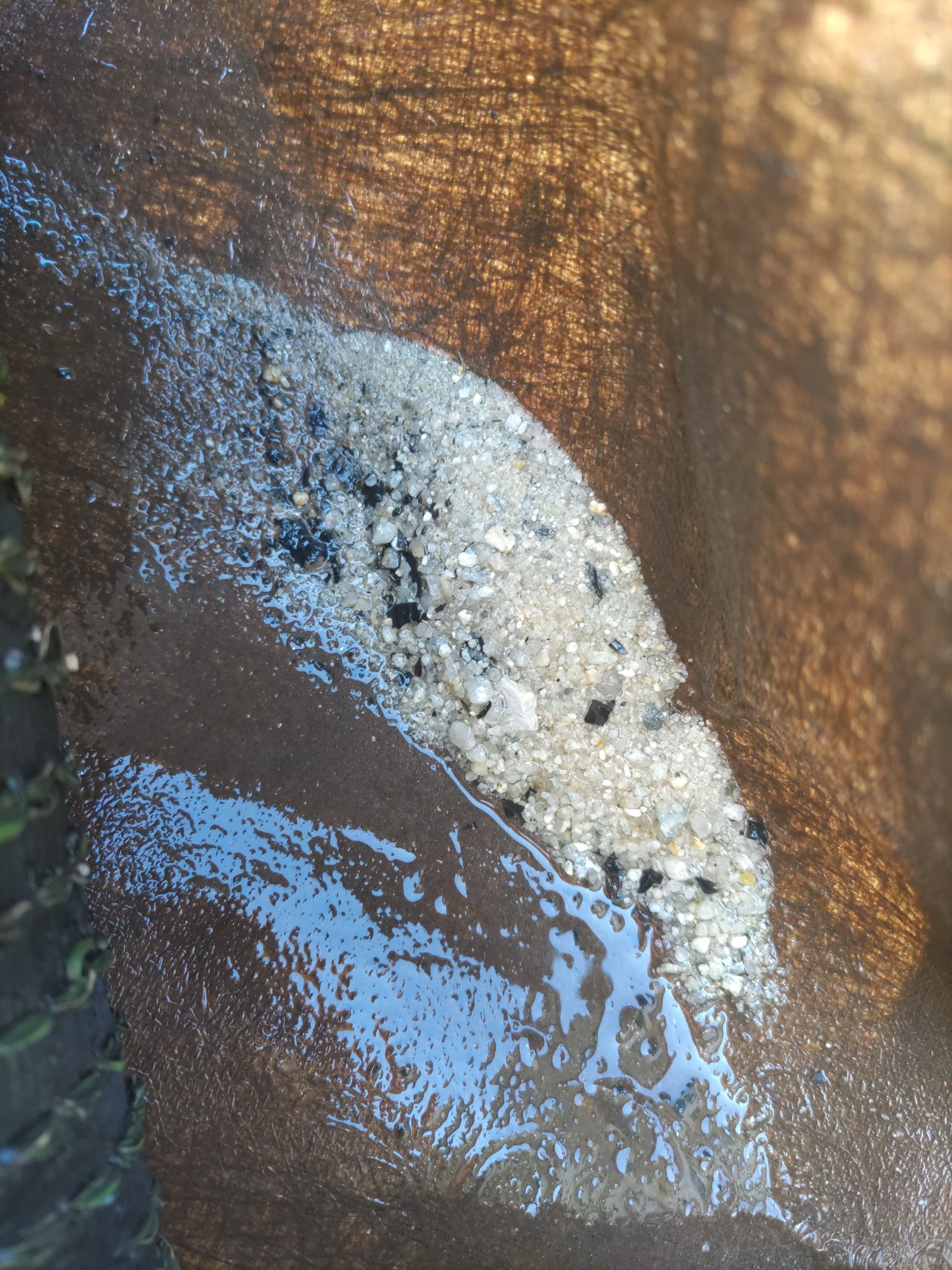 汲み上げた砂の様子