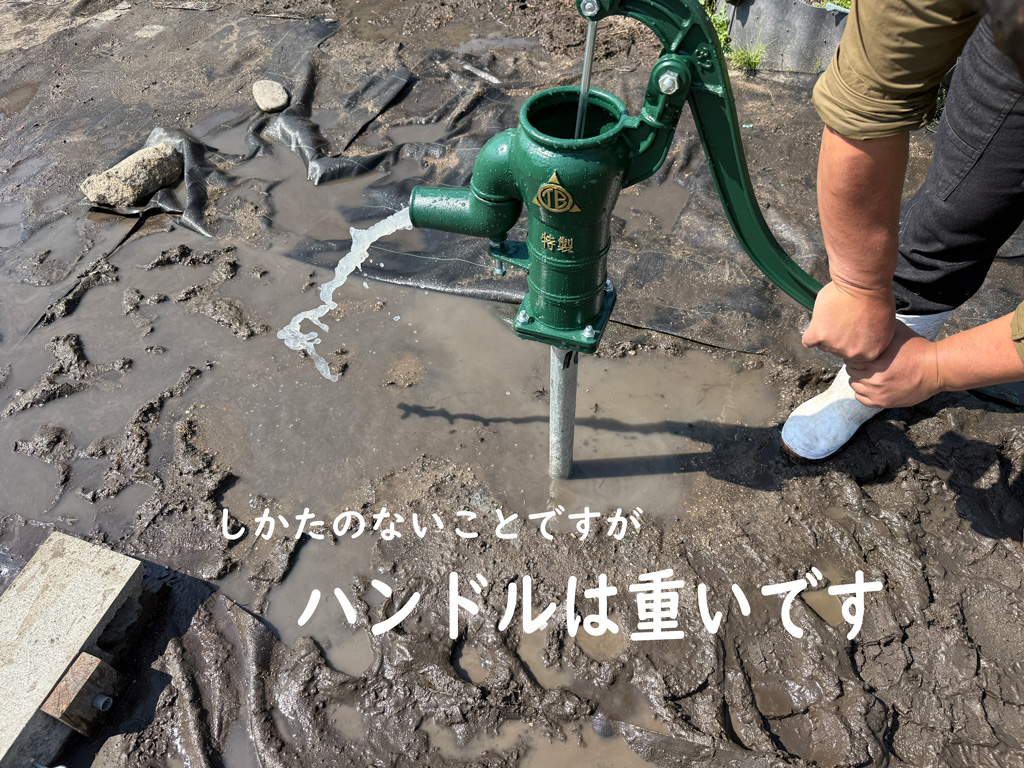 重いハンドルの10メートル手押しポンプ井戸