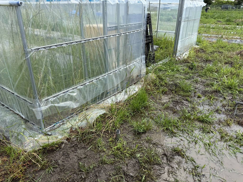 奈良県の自立支援ステーション様へ！健康野菜オカワカメ栽培を支える「矢太郎Pro」による井戸掘り工事