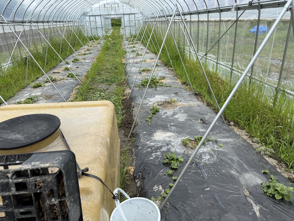 奈良県の自立支援ステーション様へ！健康野菜オカワカメ栽培を支える「矢太郎Pro」による井戸掘り工事