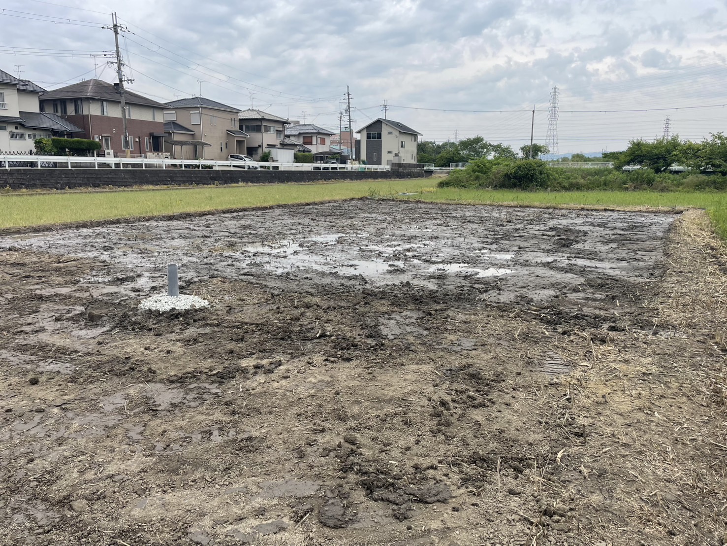 10年間の荒地がシャインマスカット畑に！大和郡山市の耕作放棄地、劇的ビフォーアフター