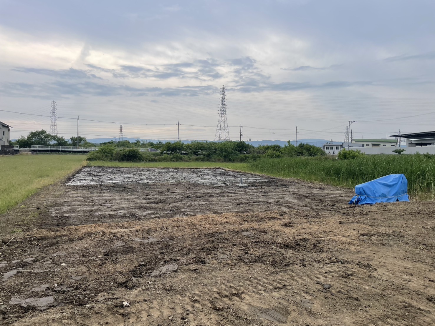 10年間の荒地がシャインマスカット畑に！大和郡山市の耕作放棄地、劇的ビフォーアフター