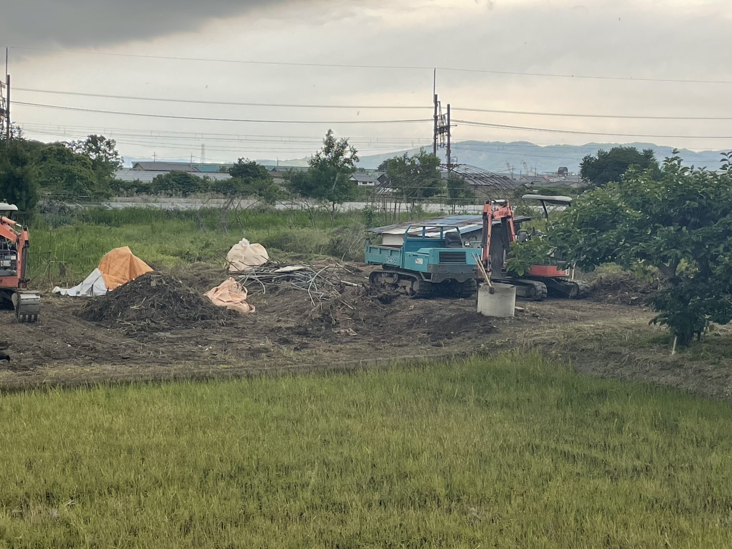 10年間の荒地がシャインマスカット畑に！大和郡山市の耕作放棄地、劇的ビフォーアフター