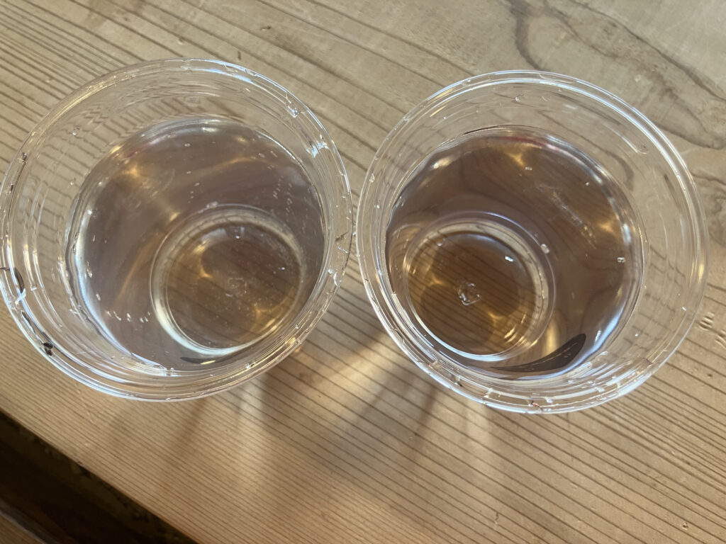 上から見ると僅かに砂が見えます