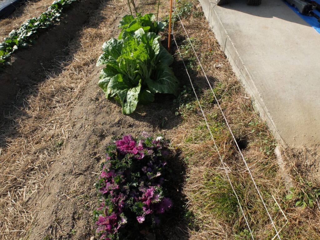 1 打込予定場所