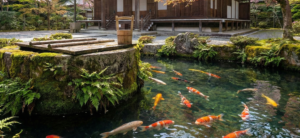 天理市・迎乗寺のハイブリッド井戸施工