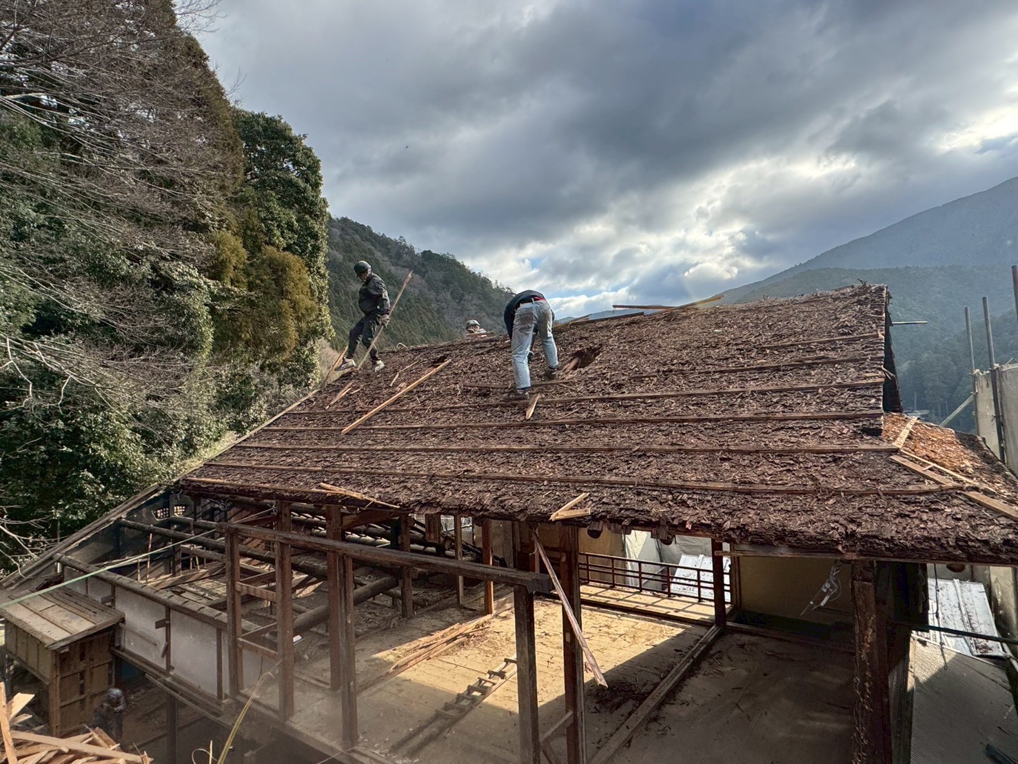 杉皮の撤去作業