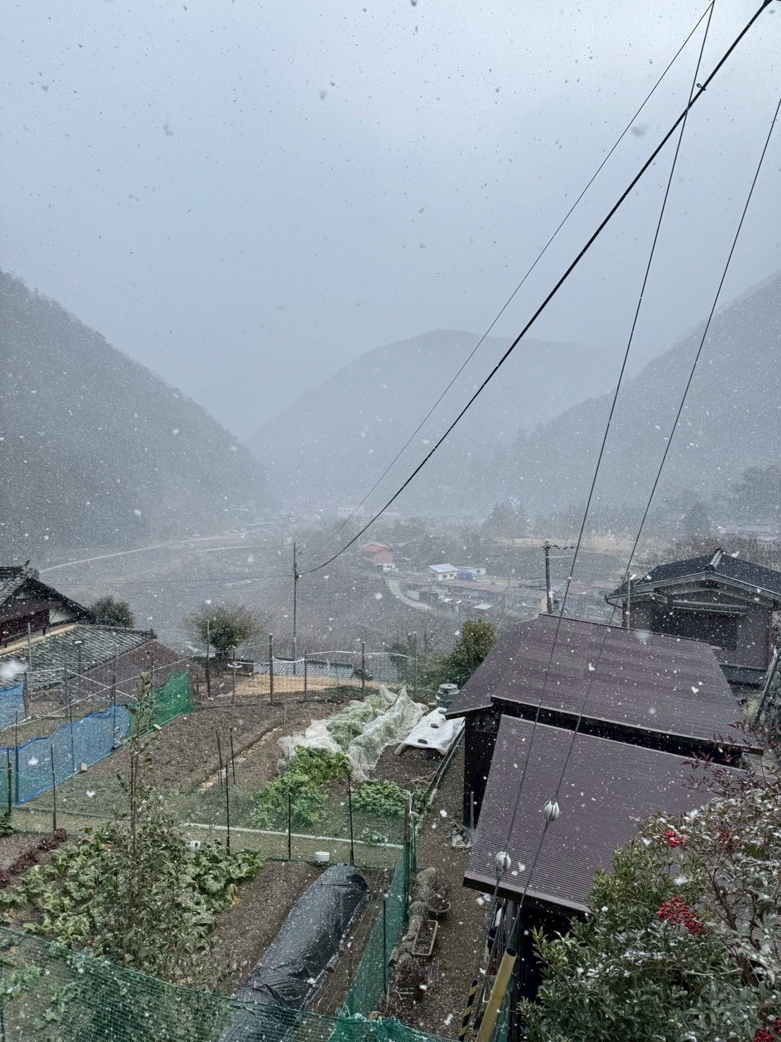 雪中の解体作業