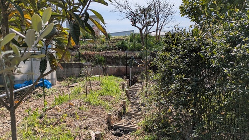 井戸作りの様子