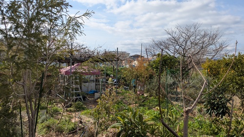 井戸作りの様子