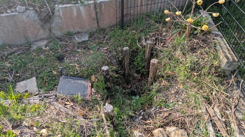 井戸作りの様子