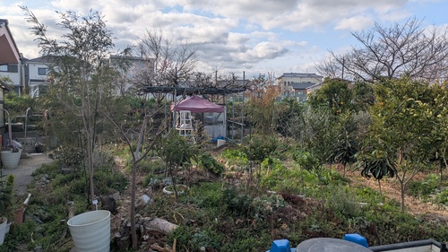 井戸作りの様子