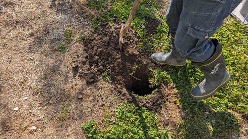 泥水から清水へ