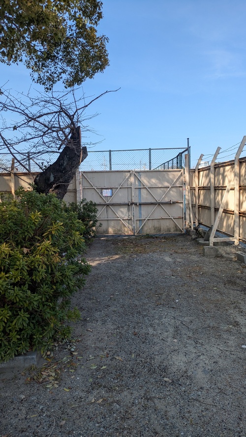 仮設コンテナ設置と樹木伐採2