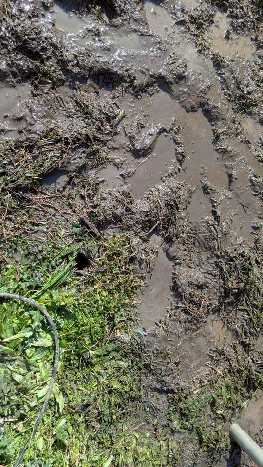 作業完了後の現場