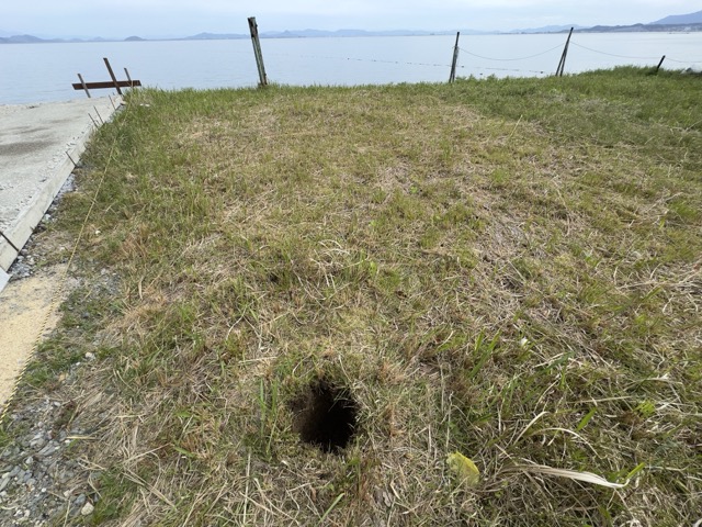 スコップで掘れる限界まで掘る